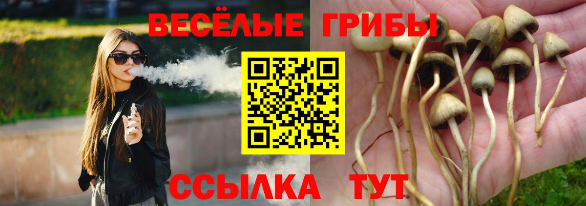 Галлюциногенные грибы Magic Shrooms Прохладный