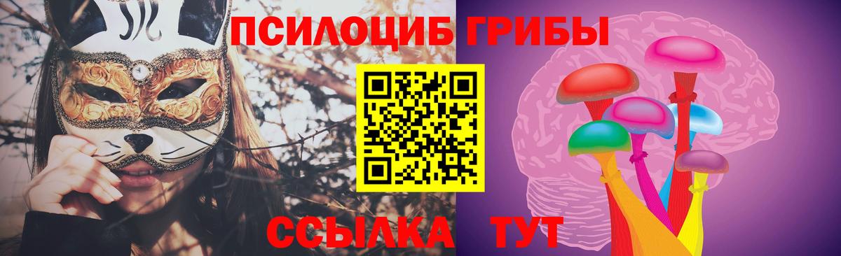 Псилоцибиновые грибы ЛСД  купить  цена  Вход с VPN  Прохладный  Псилоцибиновые грибы Magic Shrooms 
