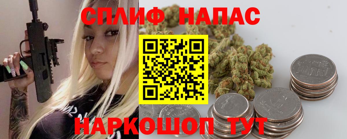 Канабис планчик Прохладный